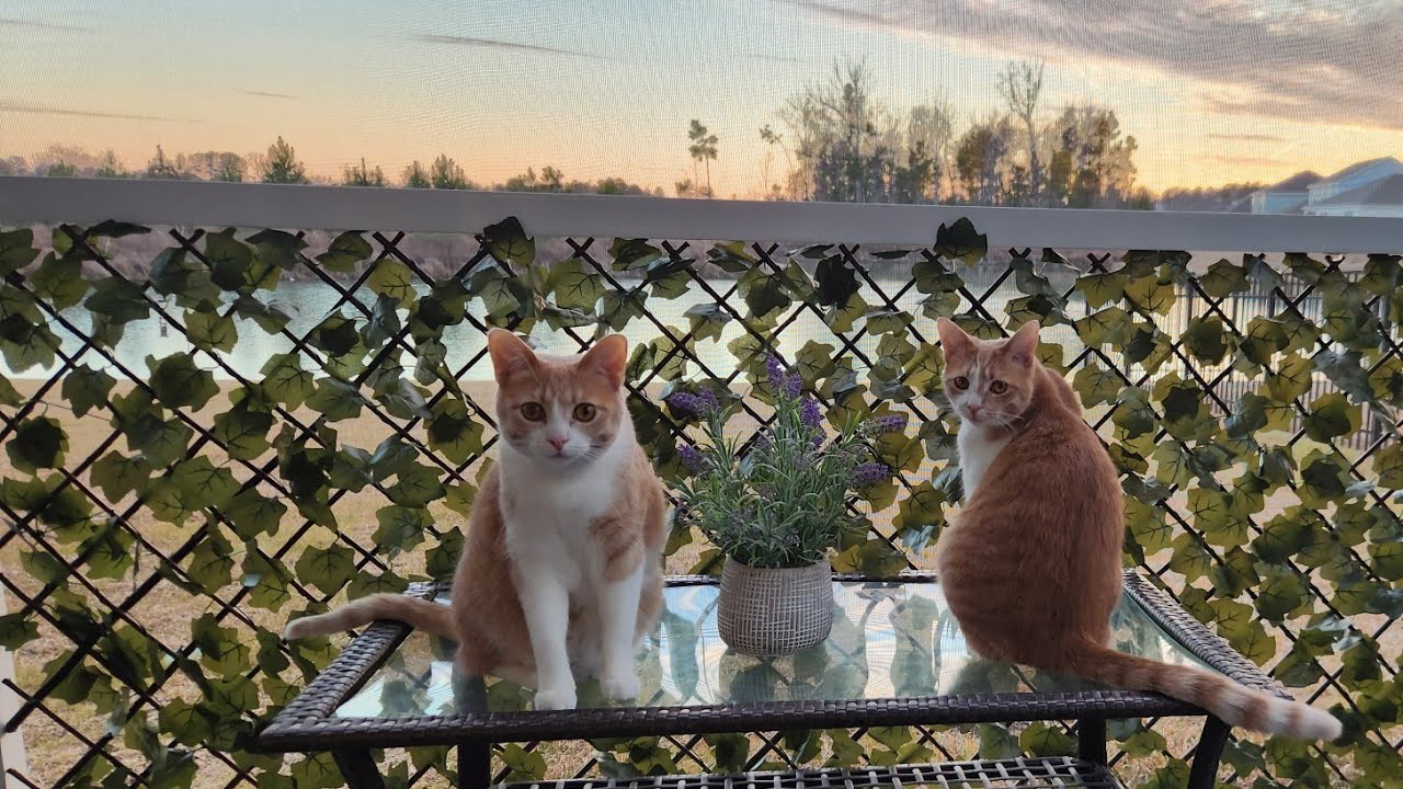 Bisque&Pearl is live!