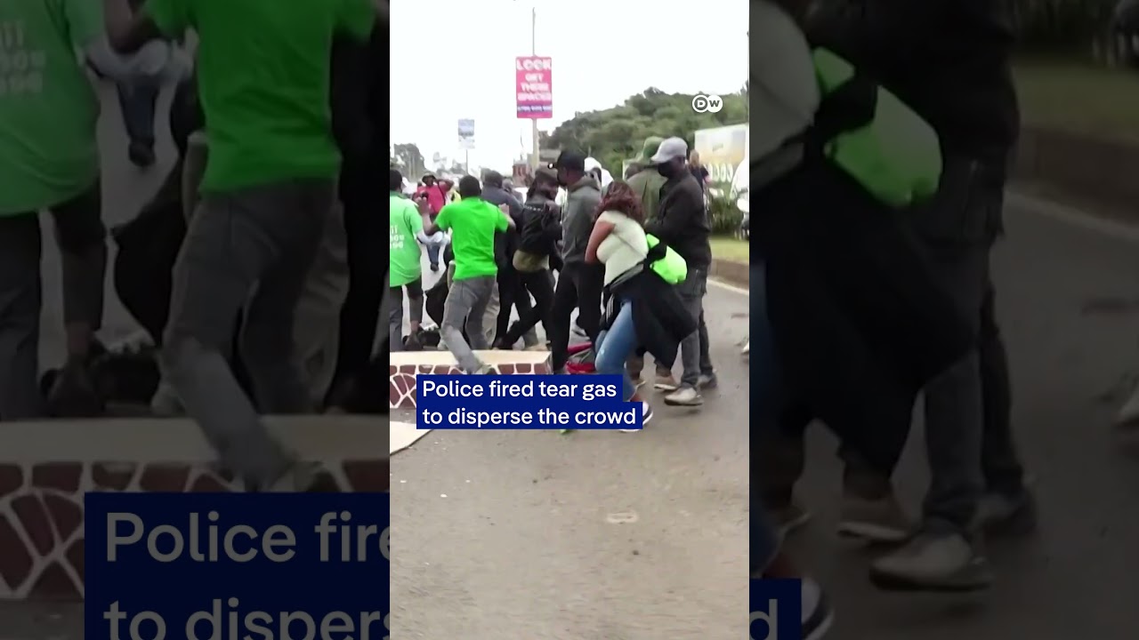 Arrests at protest against paving Nairobi national park | DW News