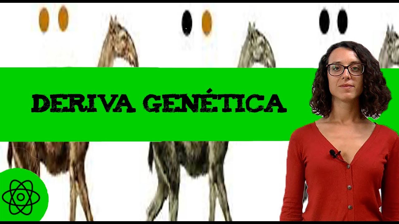La deriva genetica 🧬