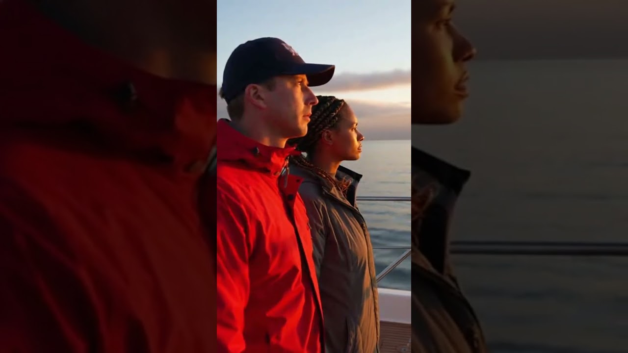 Whale Encounters Are Boats Too Close 2026 Safety Review