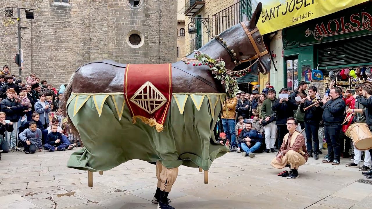 La gran pel·licula - FESTES Sant JOSEP ORIOL 2025 - La PASSEJADA dels ORIOLS - XIX TROBADA Gegants