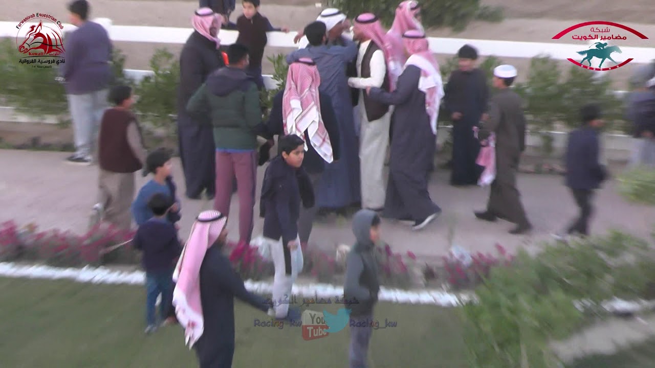 البطل حامد لـ أسطبل العويض