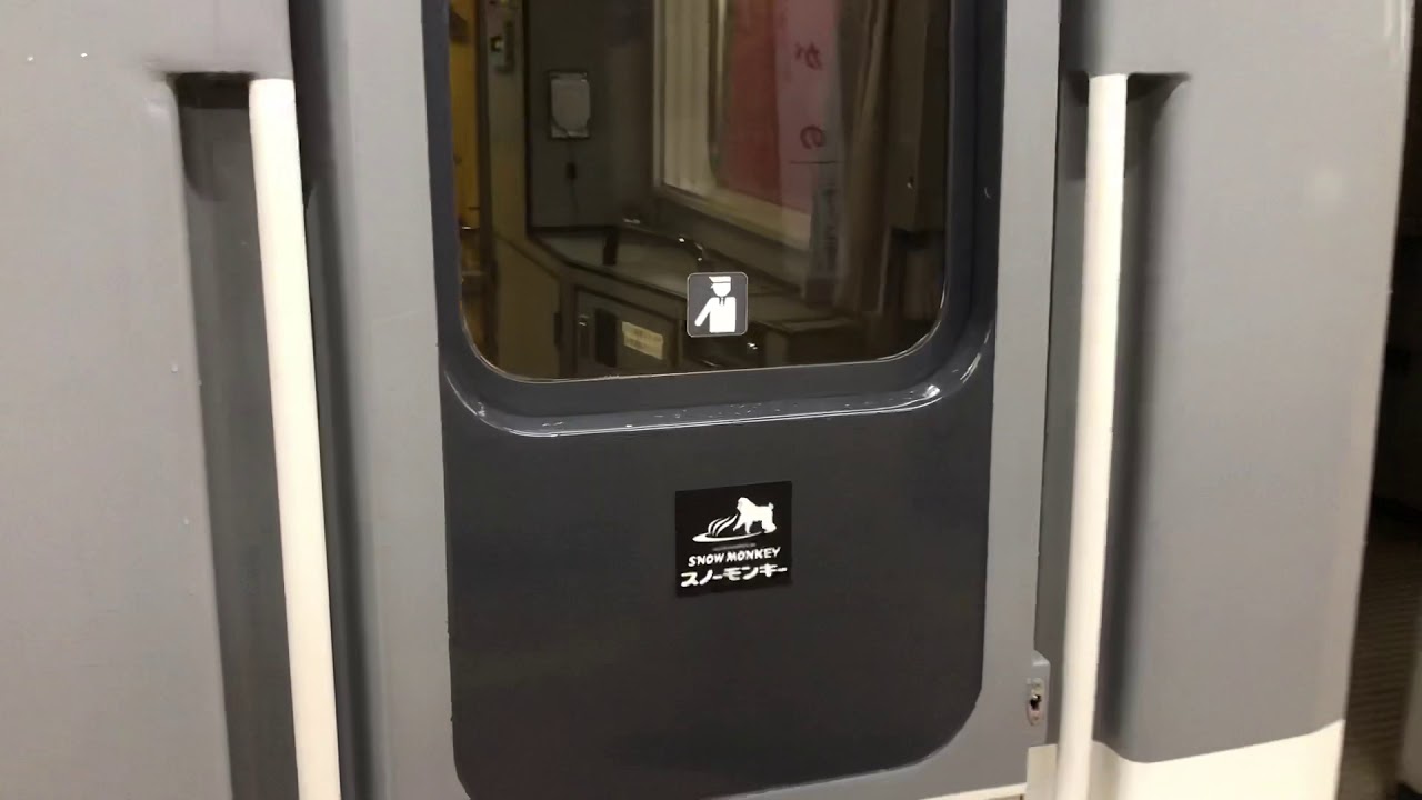 元JR東日本253系長野電鉄2100系スノーモンキー車内散策