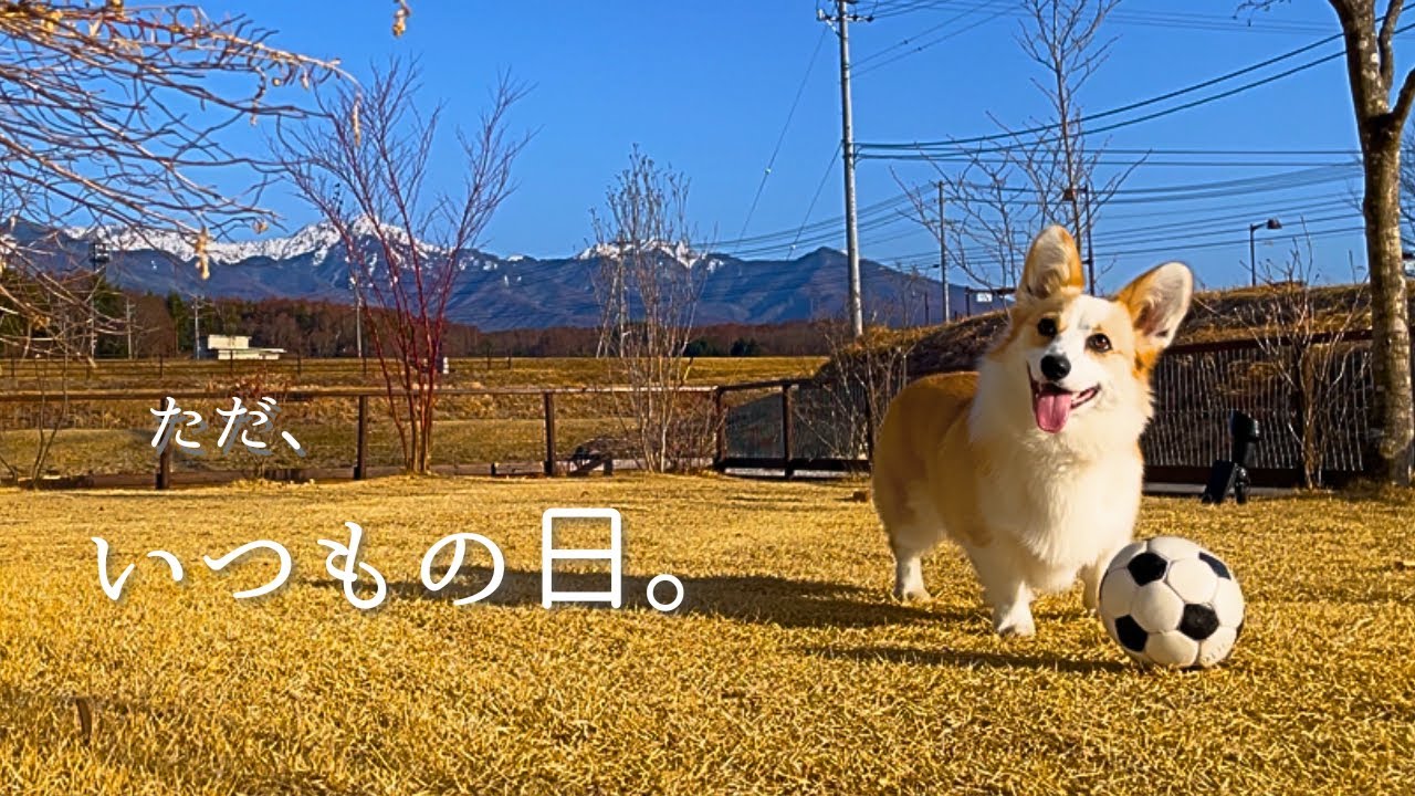 いくらとの日々。｜八ヶ岳山麓暮らし