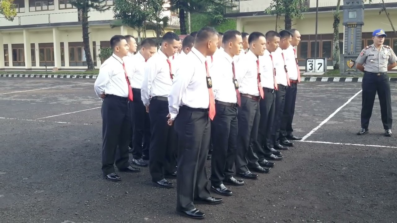 SIPSUS 2015
