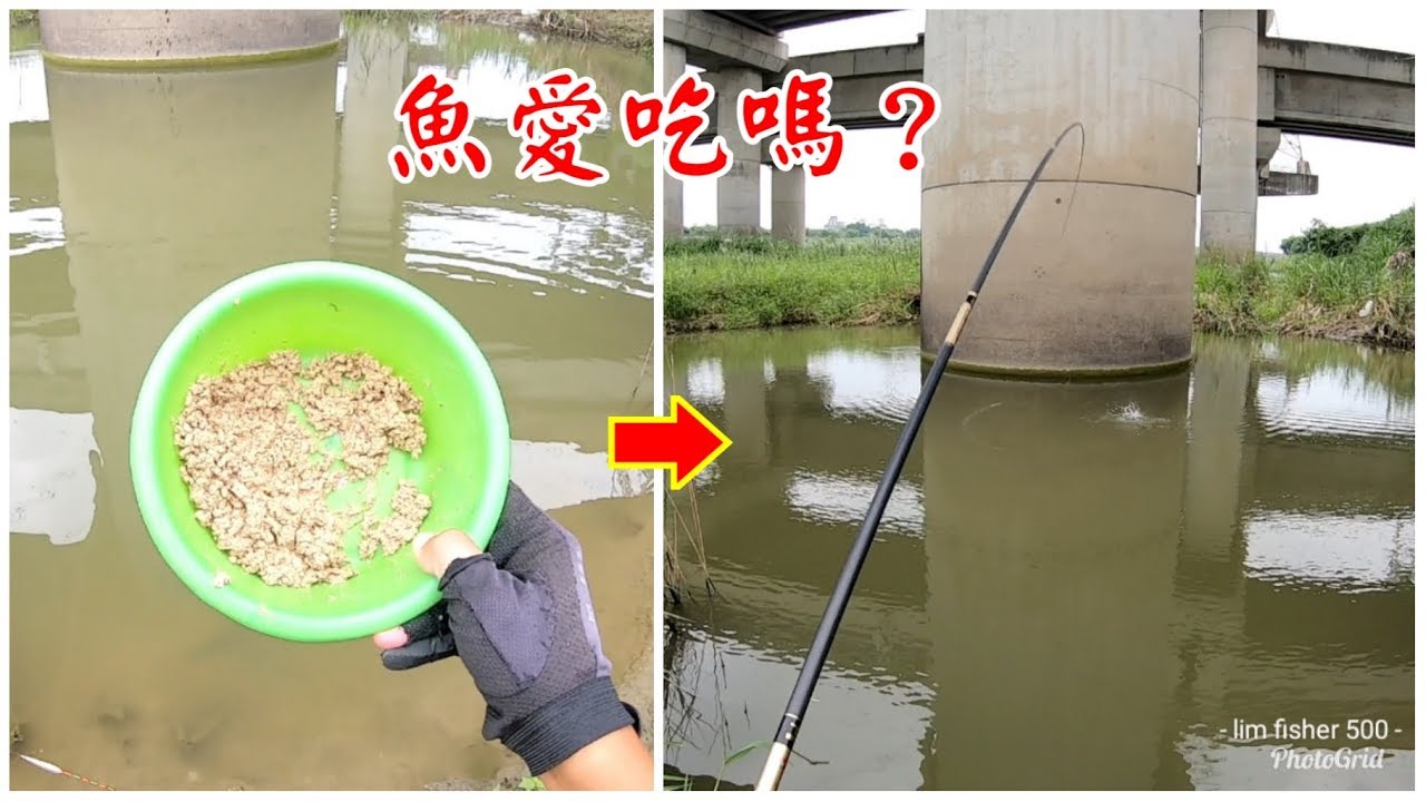 自製免成本冷凍底餌,任意組合用不怕的啦!