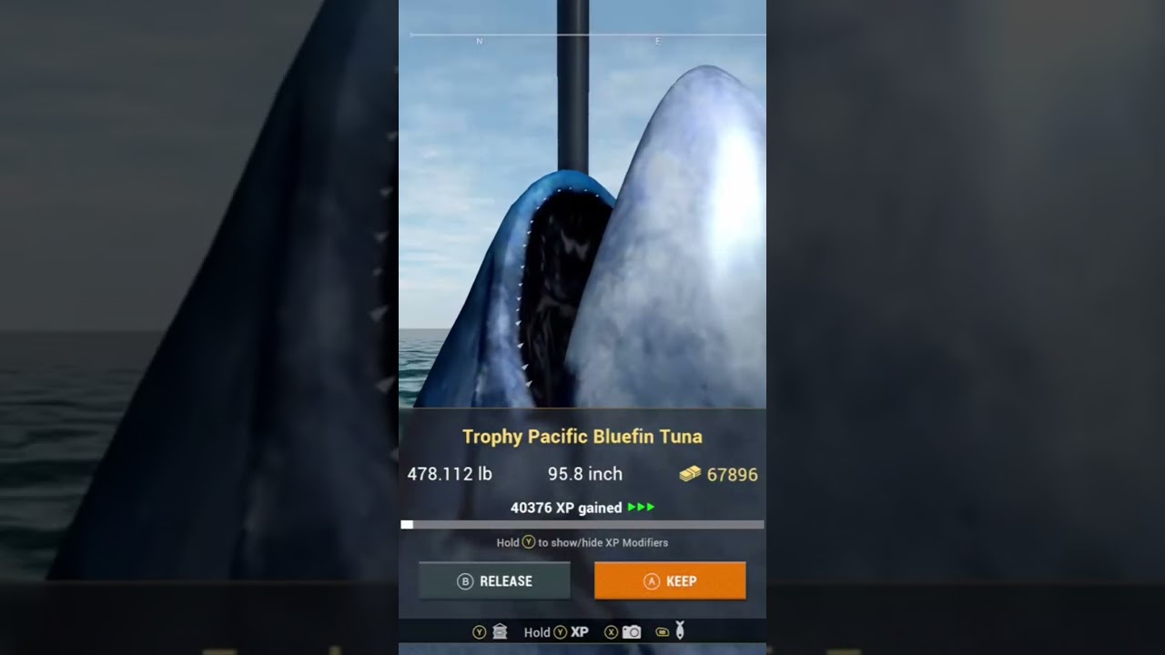 Big fish in the ocean dlc in fishing planet #fishing