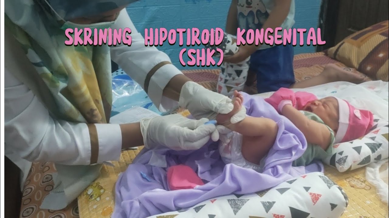 pengambilan Sempel SKRINING HIPOTIROID KONGENITAL (SHK)