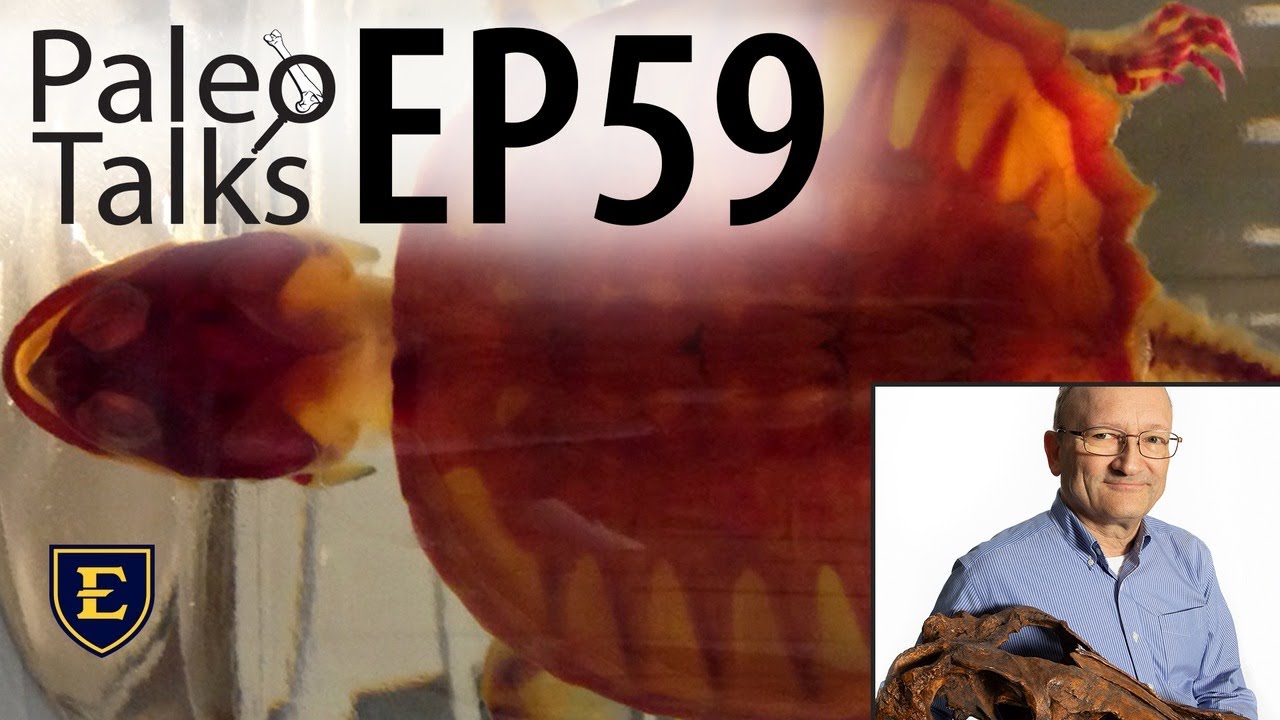 How Turtles Got Their Shells [Paleo Talks EP59]