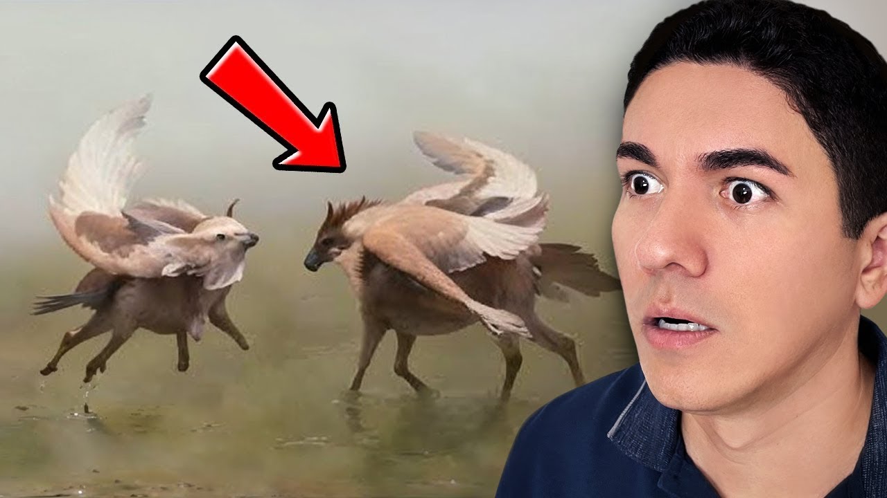 SE NÃO FOSSE FILMADO NINGUÉM ACREDITARIA - O Mundo Espiritual é Real