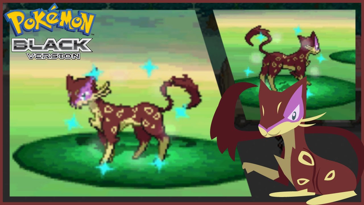 (LIVE) FULL ODDS Shiny Liepard in Pokemon Black [Phase 2]