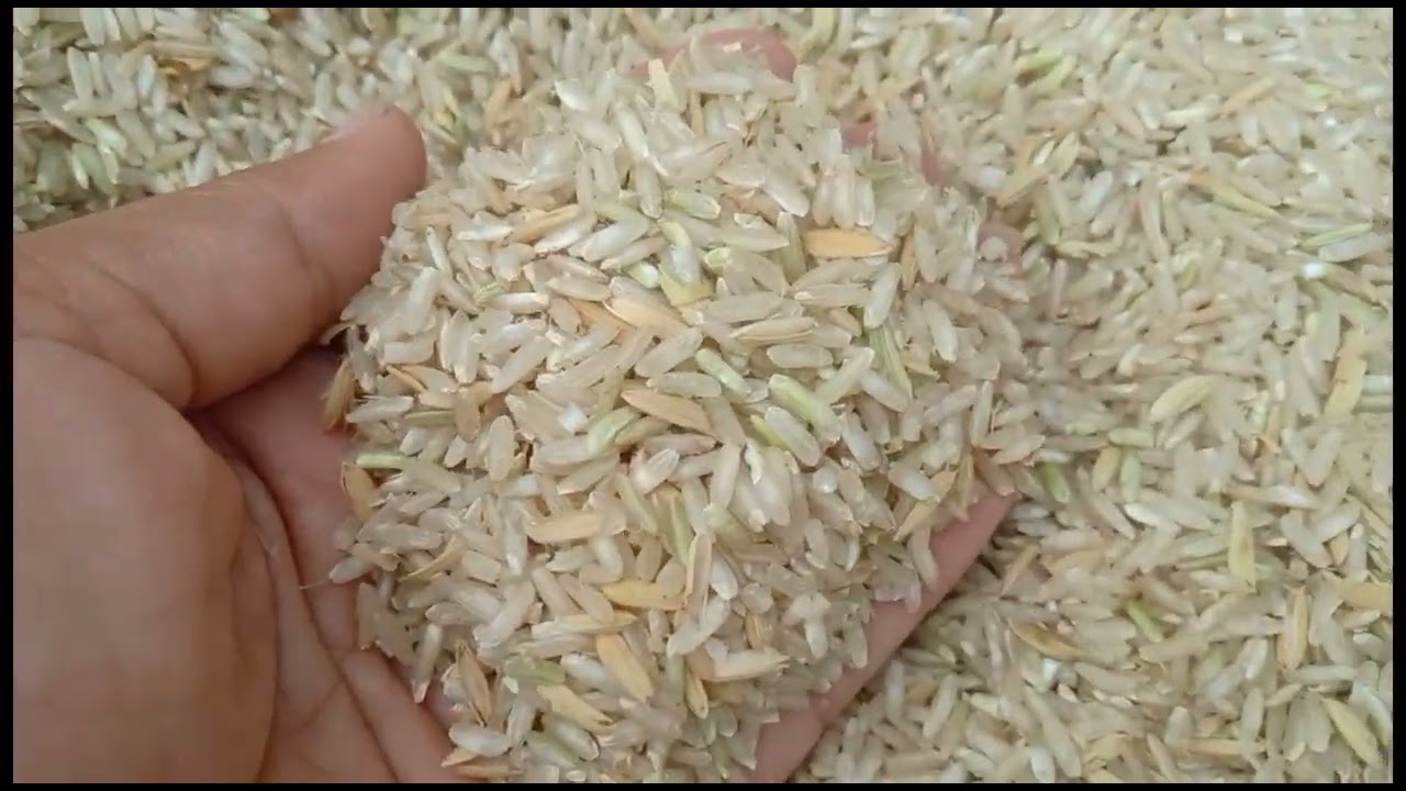 Uji Coba Mesin gilingan Padi /Selep Padi keliling,   