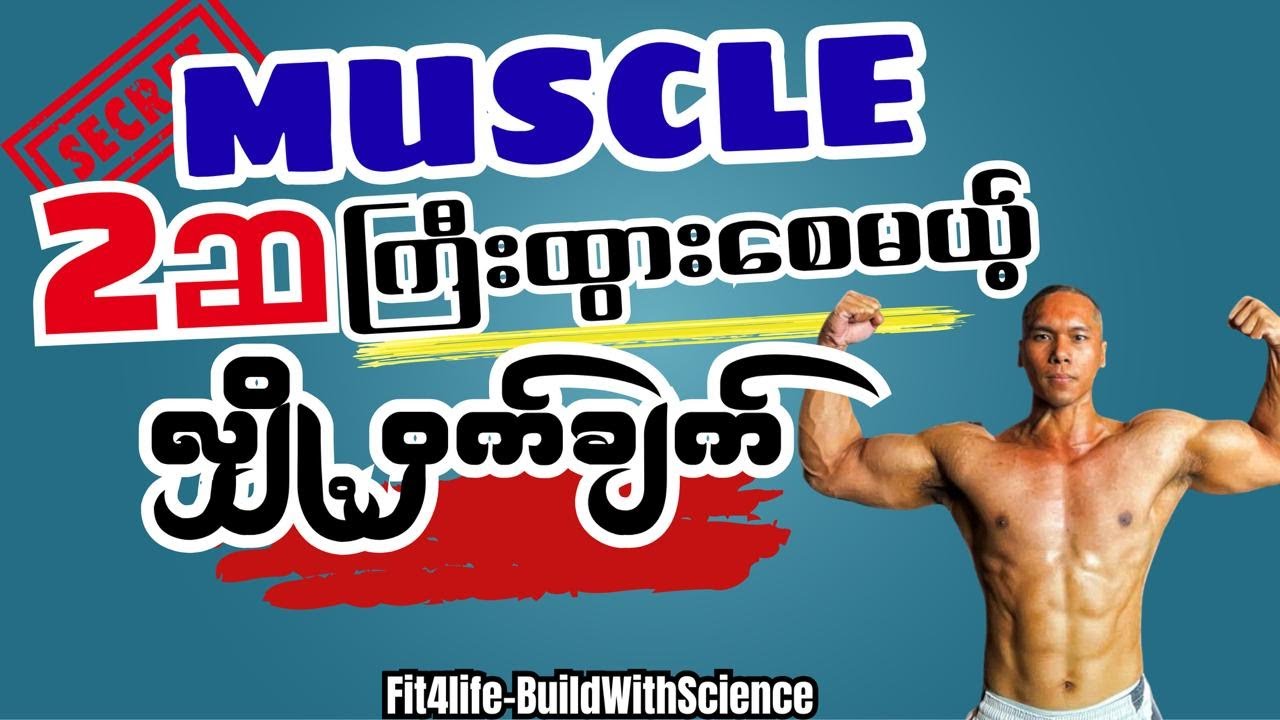 “Natural ကစားသမားများအနေနဲ့ Muscle (2)ဆ ကြီးထွားစေမည့် လျှိဝှက်ချက်”