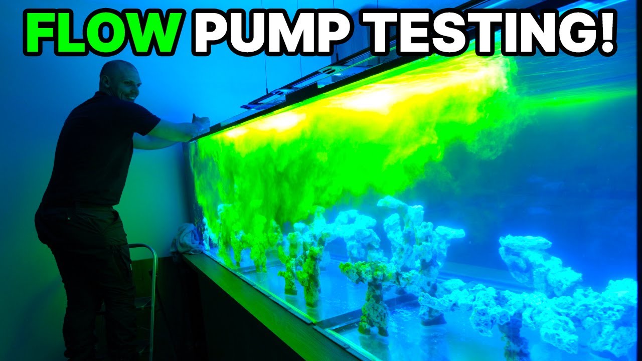 Flow in the XXL PENINSULA reef aquarium - Tunze