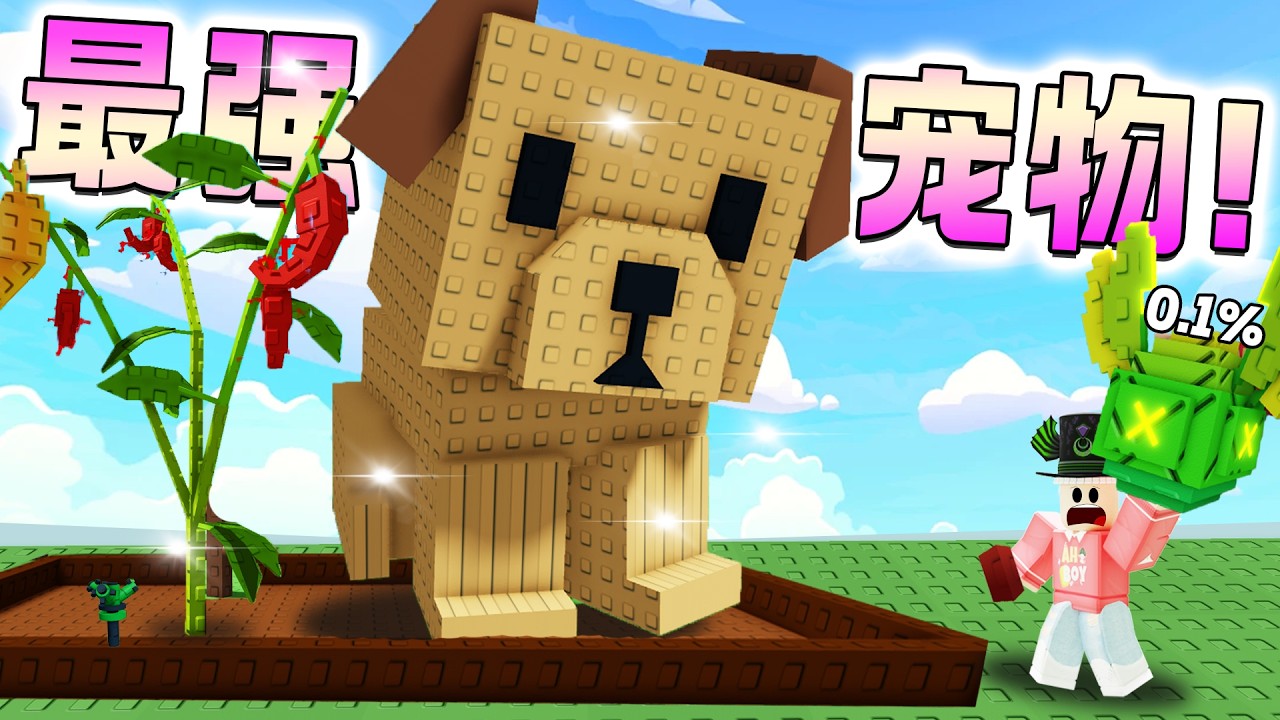 ROBLOX Grow a Garden 宠物非常重要！我获得9公斤巨型大狗(在频道帖子）辣椒种子Pepper Seed / Exotic Bug Egg