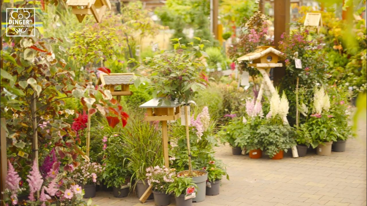 Dinger&lsquo;s Gartencenter im Herbst 🍂 