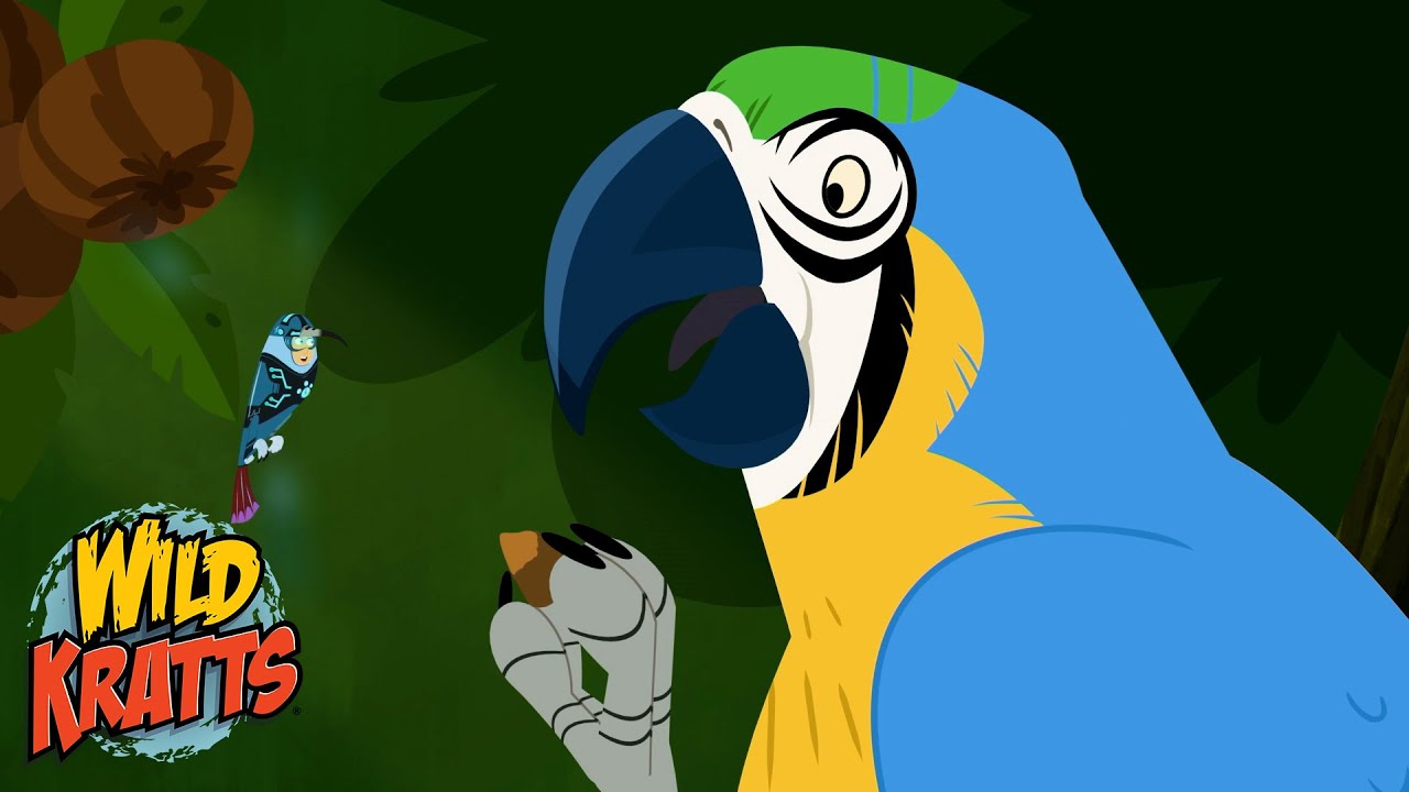 Using Creature Powers to Find Parrots | Wild Kratts