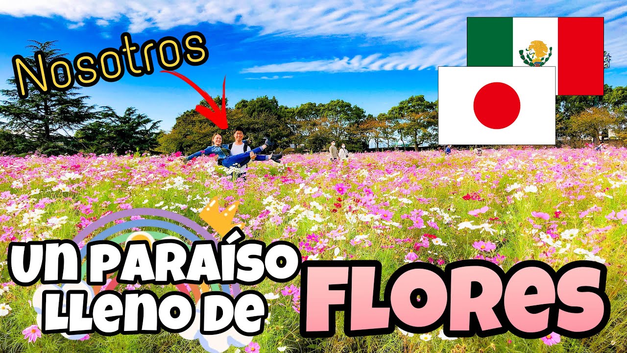Un paraíso lleno de flores en Japón. Nabana no Sato. Rica comida y cena (Sushi de caballo!?)