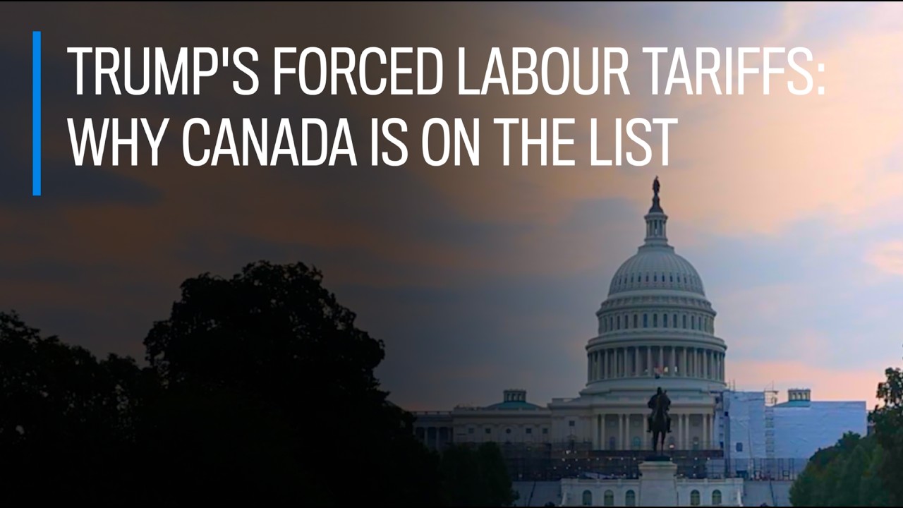 Trump&rsquo;s forced&nbsp;labour&nbsp;tariffs: Why Canada is on the list