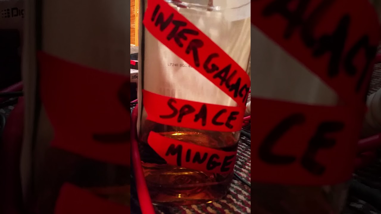 Intergalactic Space Minge - The dying breath of the Vermicious Knid