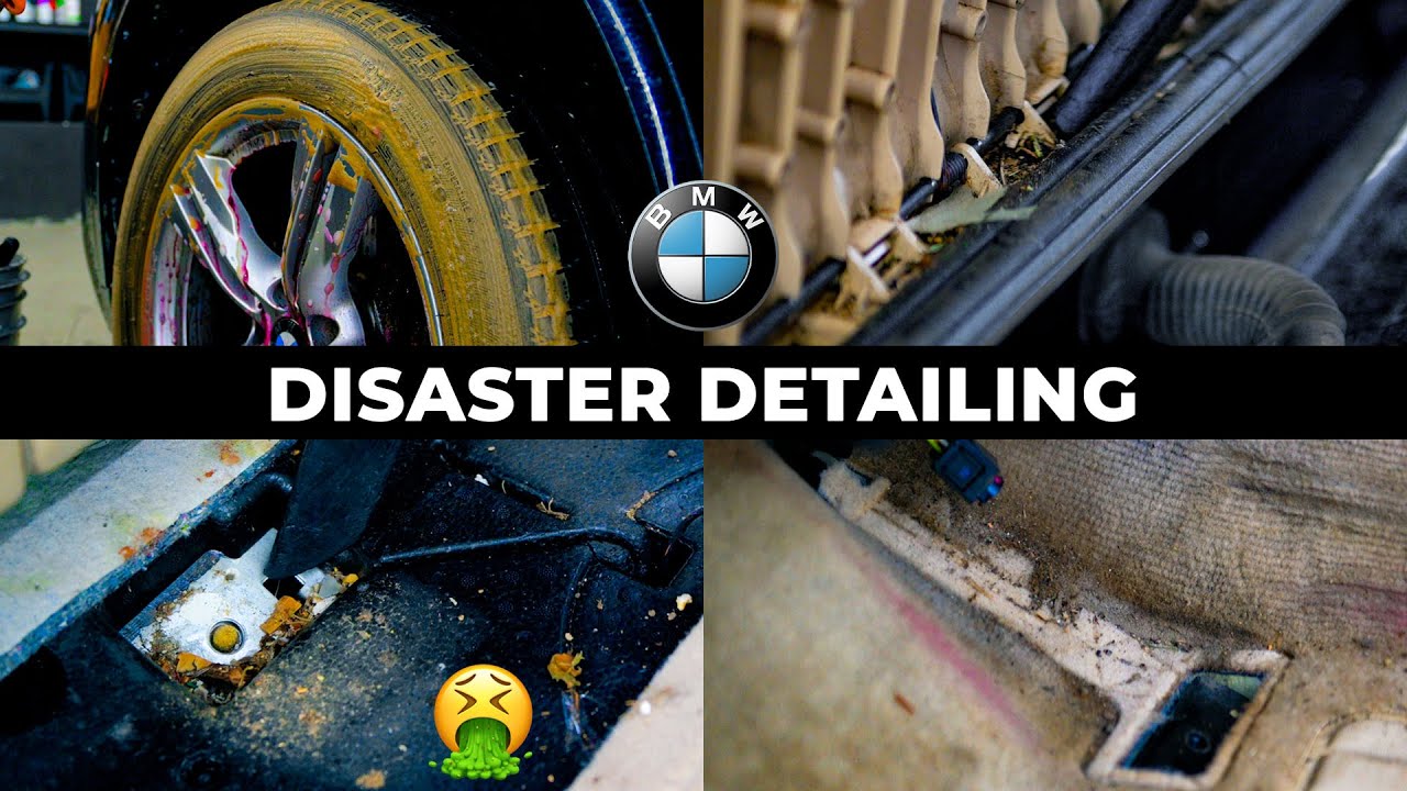 BMW X5 Full Detail - Foam Wash , Paint Correction & Interior Restoration