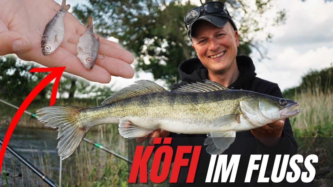 Saisonstart mit dem Köderfisch