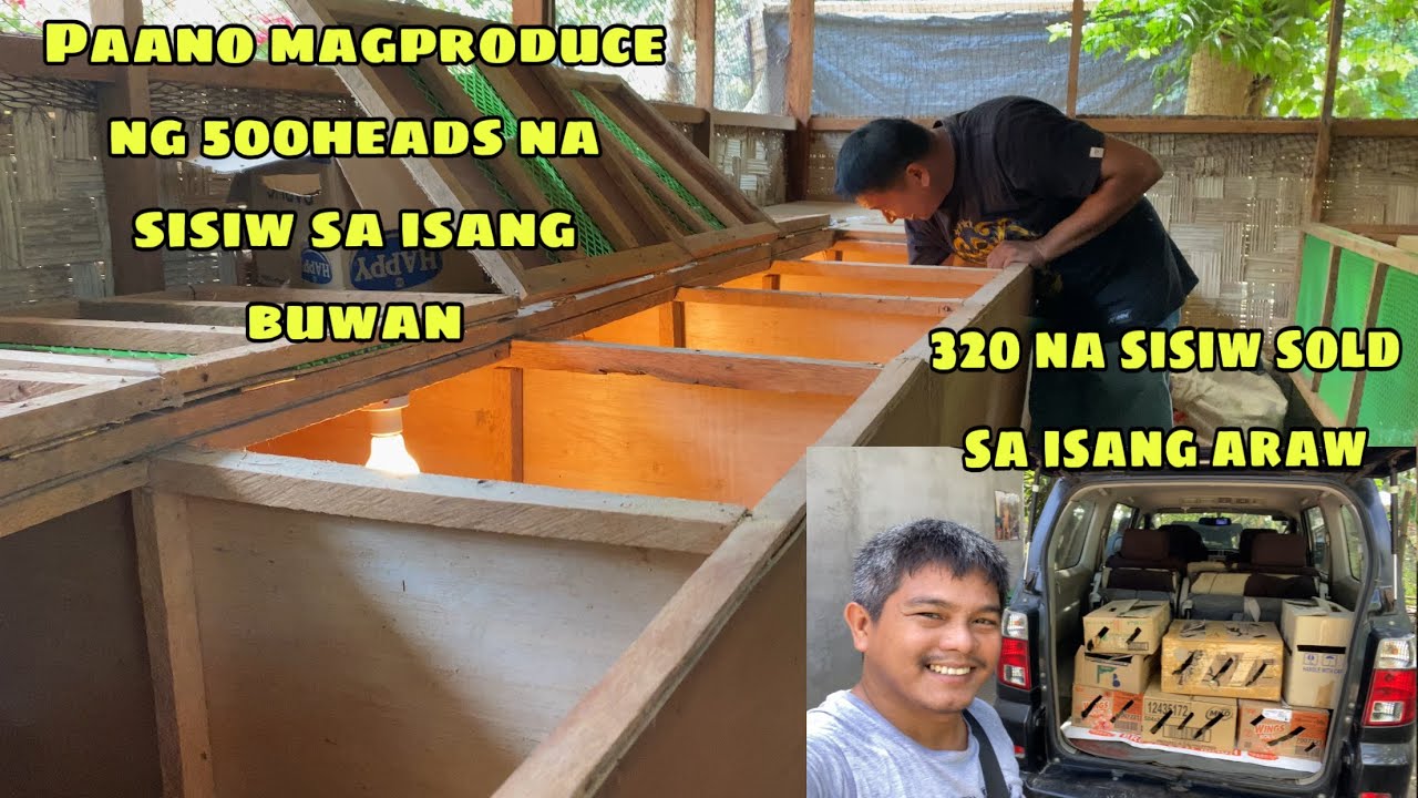 320 HEADS SOLD SA ISANG ARAW | PAANO MAGPRODUCE NG 500 NA SISIW SA ISANG  BUWAN | GENSAN CITY