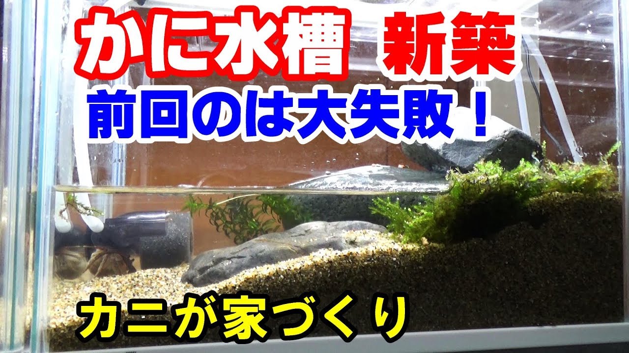 カニ水槽再建！　カニが穴を掘る！【かに水槽#5】