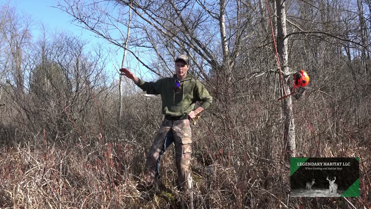How To- Create Buck Bedding In Swamps/Wetlands