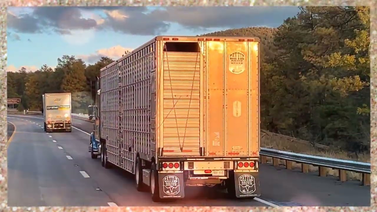 Lumineers Sleep on the Floor - Hauling cows