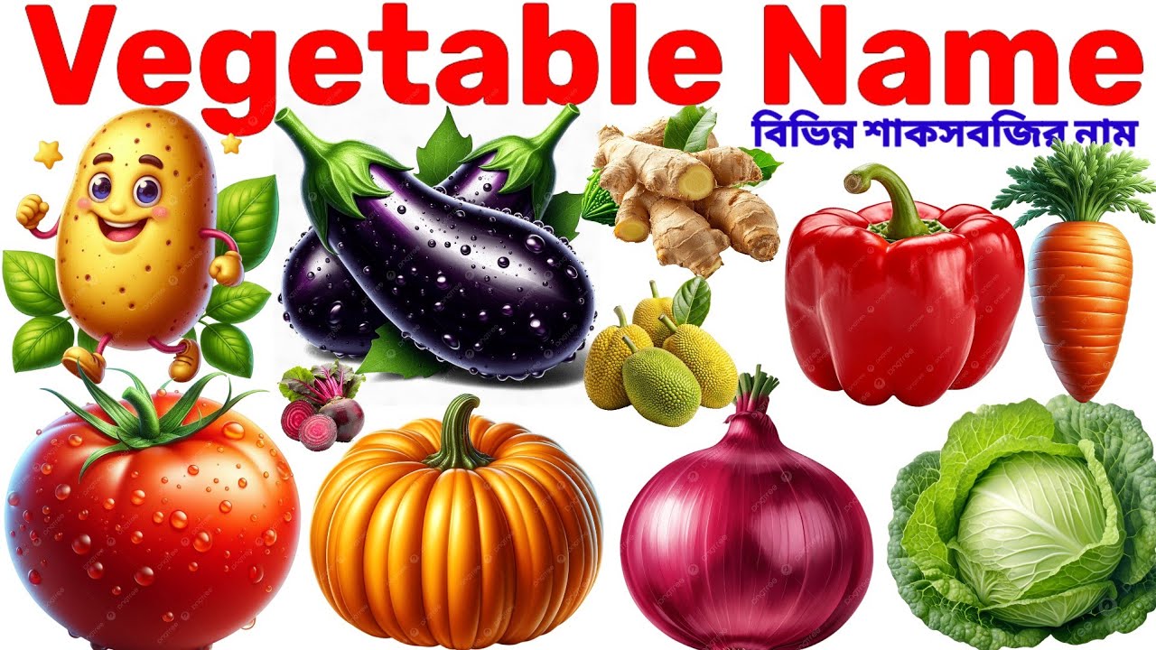 Vegetable Name in English with Pictures।30 Vegetable Name for Kids।Learn Vegetable Vocabulary 
