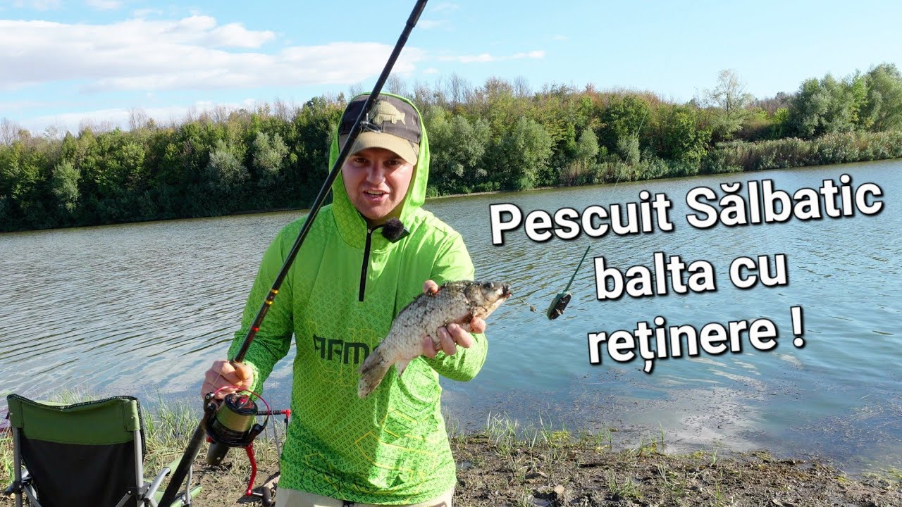 Pescuit la feeder pe Lac Sălbatic cu Reținere ! Carași Mari , Crapi , Babușcă , Șalău , Regină.. 🎣