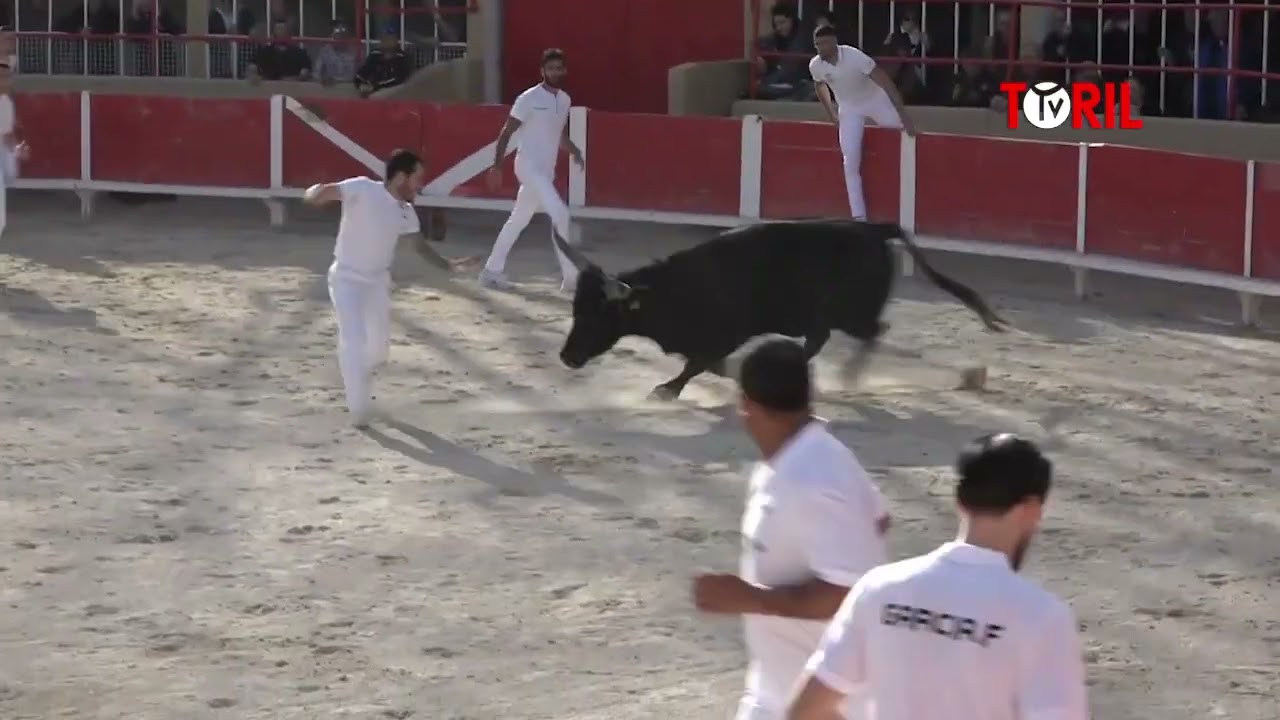 Saint Gilles (19/03/2023) - Course Camarguaise