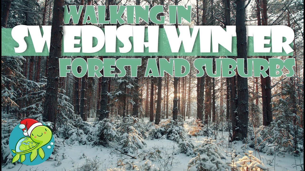 Swedish WINTER Forest and Suburbs - 4K Sweden walking