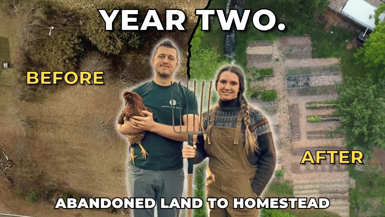 YEAR 2 TIMELAPSE: Building Our Dream Homestead from an ABANDONED Farm