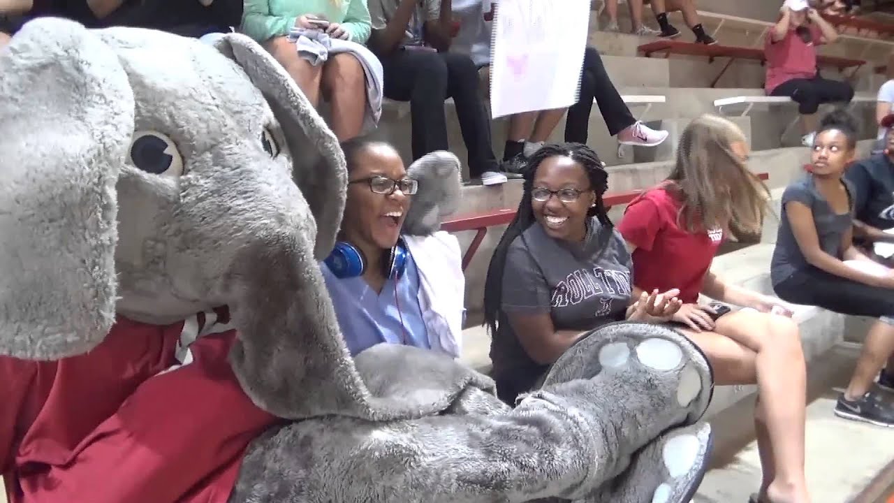 Big Al Highlights 2015-2016