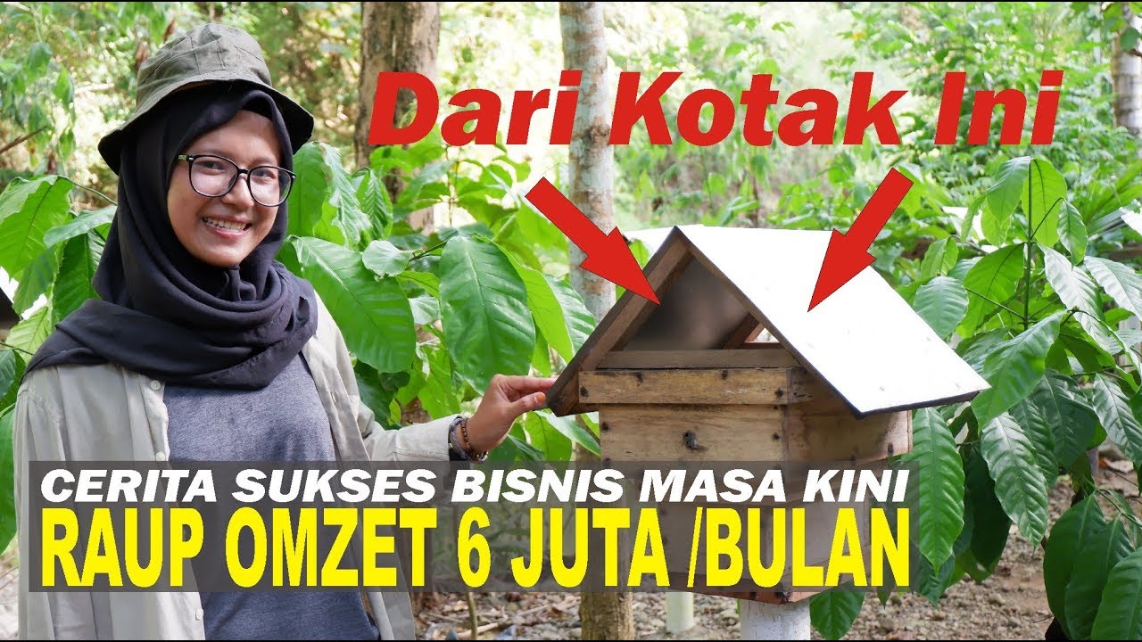 Cerita Sukses Budidaya Klanceng Dari Desa Jelok Kaligesing - JEJAK TANI