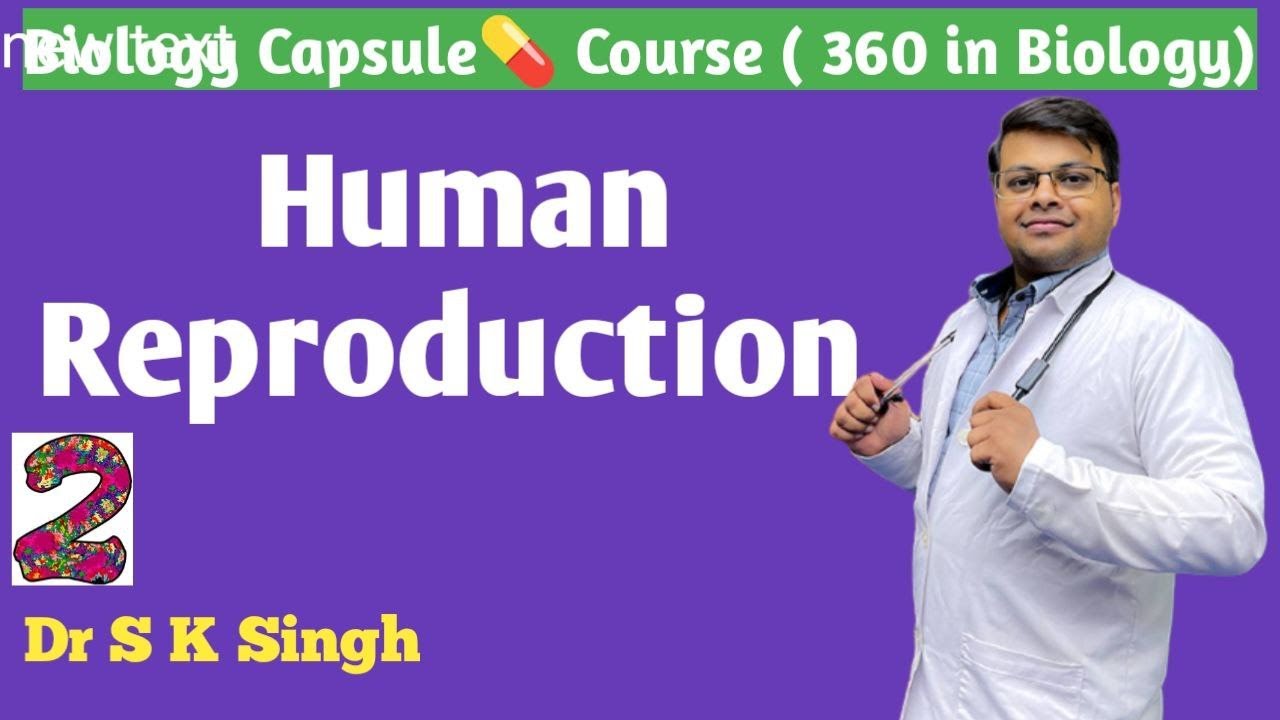 Human Reproduction | Reproduction Class 12 |  NEET 2023 | Dr S K Singh | #Biologycapsulecourse