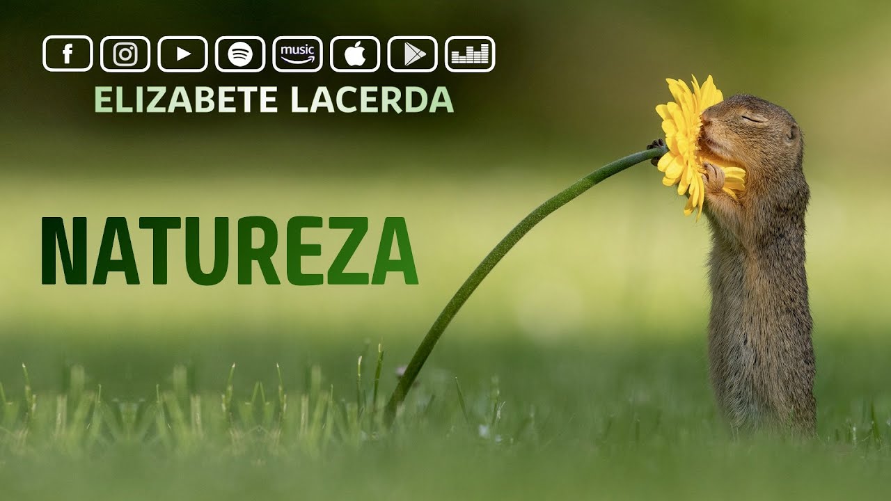 Elizabete Lacerda 🎵 NATUREZA | NATURE 🌳 (Música Espírita Infantil) 🌻