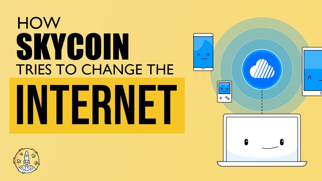 How Skycoin Tries to Change the Internet | Skycoin (SKY) Project Review | The 100X Show
