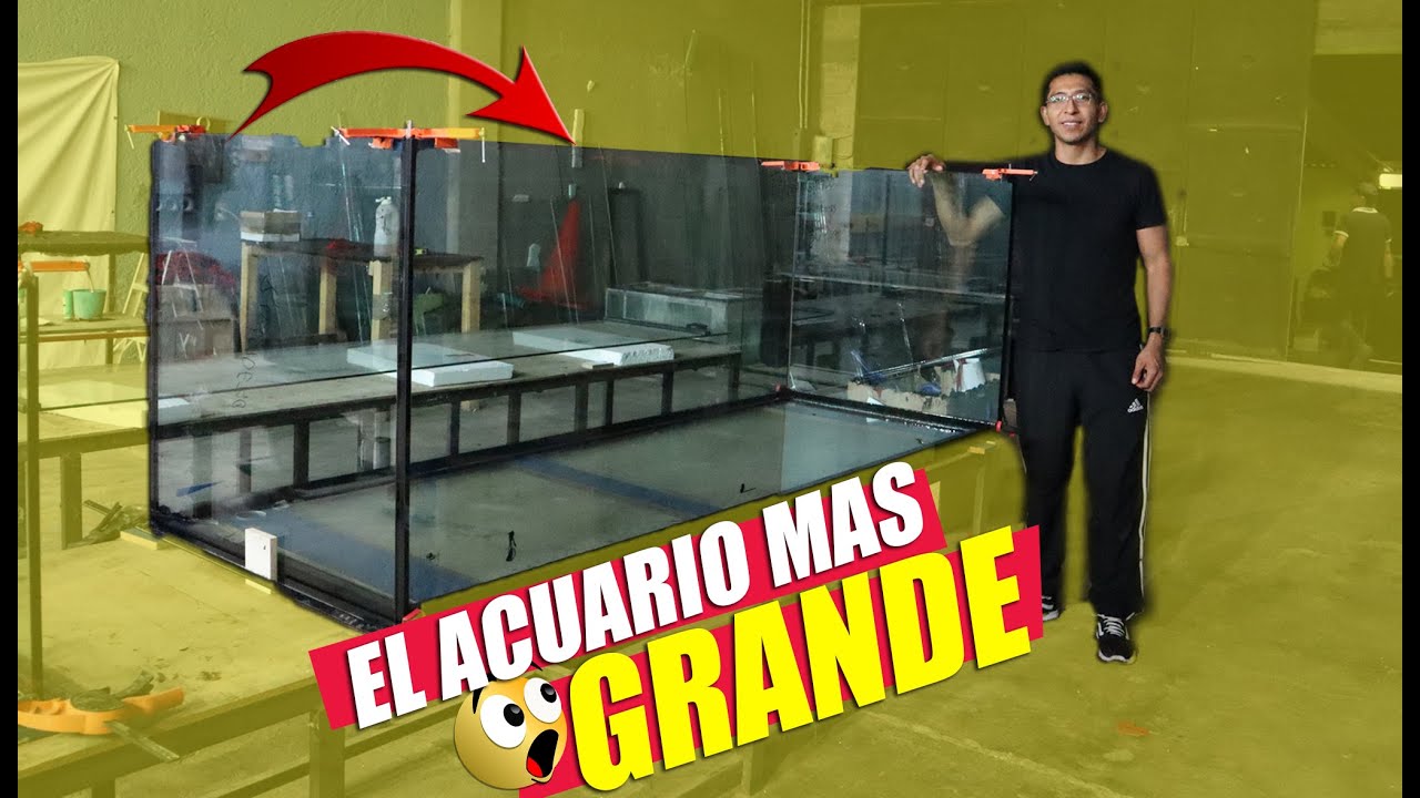 Como Armar Un Acuario Desde CERO 😎