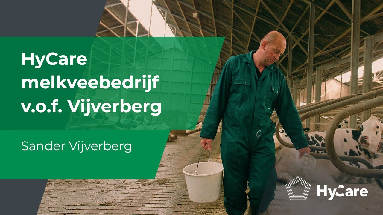 HyCare melkveebedrijf v.o.f. Vijverberg | Strijen ZH
