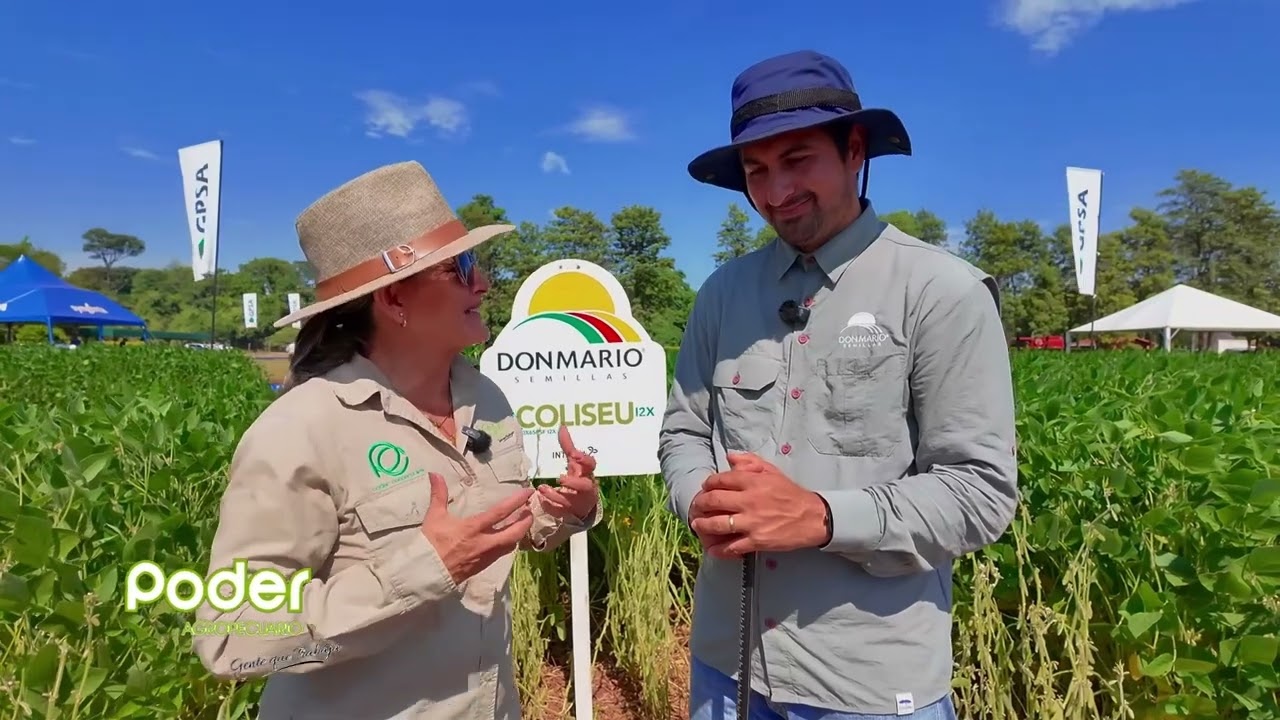 UN GRUPO DE AMIGOS, UNA IDEA Y MUCHO TRABAJO, ESTA ES LA HISTORIA DE DONMARIO