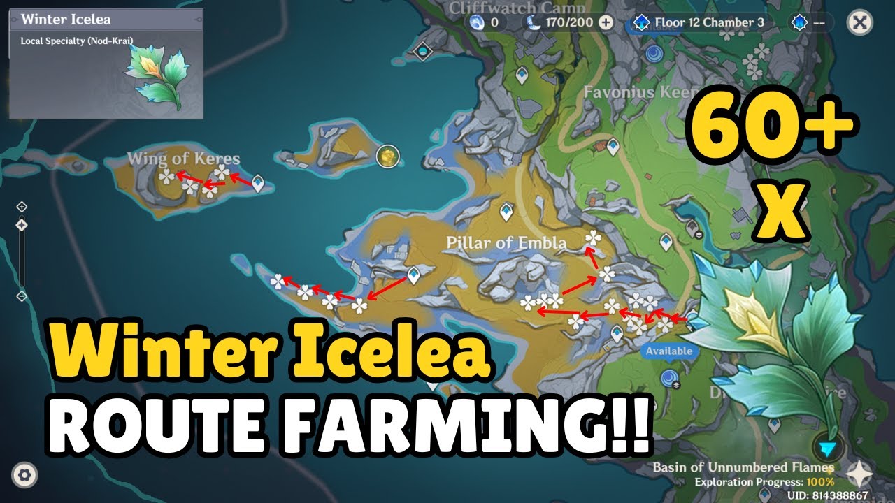 100% Efektif! ROUTE FARM Winter Icelea (All Locations) Columbina Ascension Material - Genshin Impact
