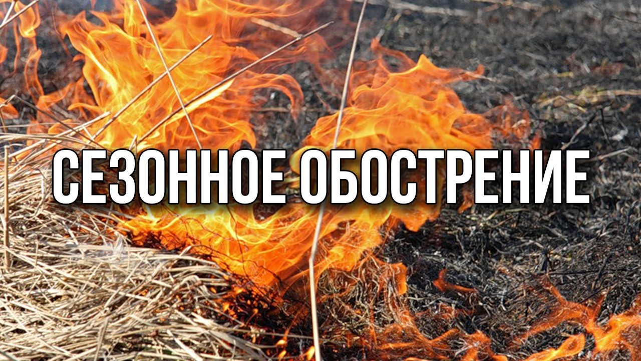 Сезонное обострение. «Вечерний Ейск» от 2026.03.17