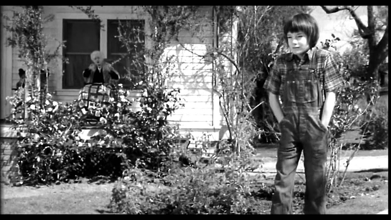 To kill a Mockingbird miss Dubose sc&eacute;ne