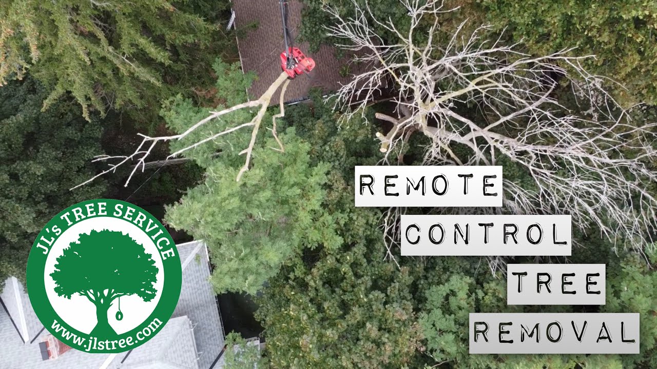 Tight Squeeze - Remote Control Tree Removal