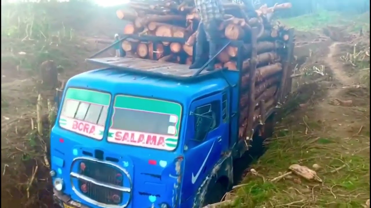 VECCHI CAMION ITALIANI  AL LAVORO IN AFRICA NEL 2023 IMMORTALI FIAT 682