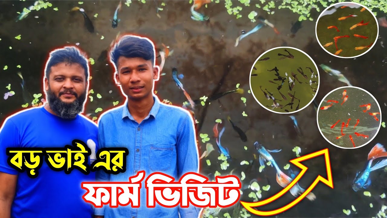 বড় ভাই এর কালেকশন.. ভাই এর ফার্মে কি কি আছে || My Big Brother fish farm @LandOfAquarist