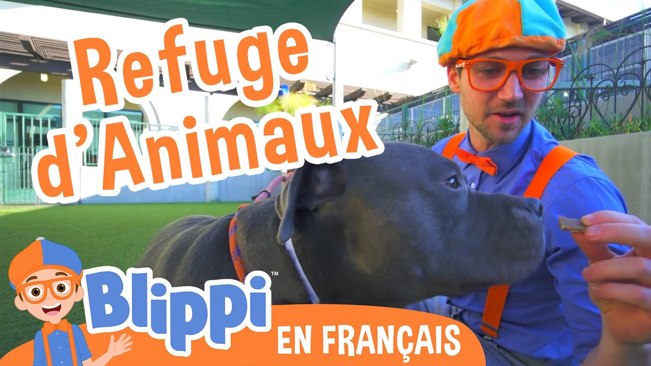 Blippi Visite Un Refuge d’Animaux